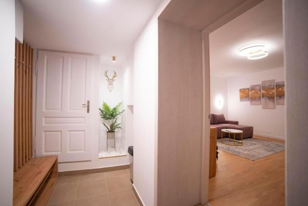 Coban Residence Apartments Braşov Eksteriør billede