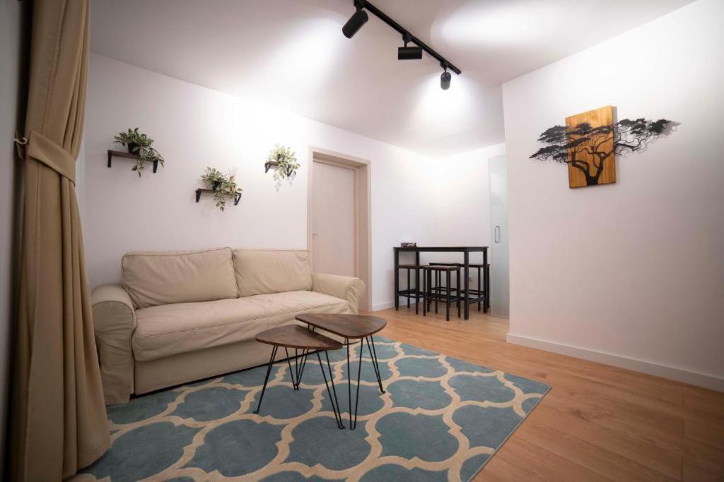 Coban Residence Apartments Braşov Eksteriør billede