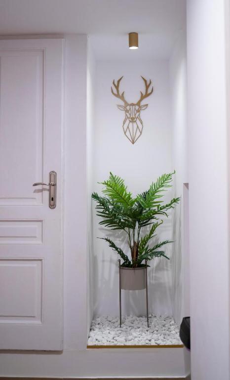 Coban Residence Apartments Braşov Eksteriør billede
