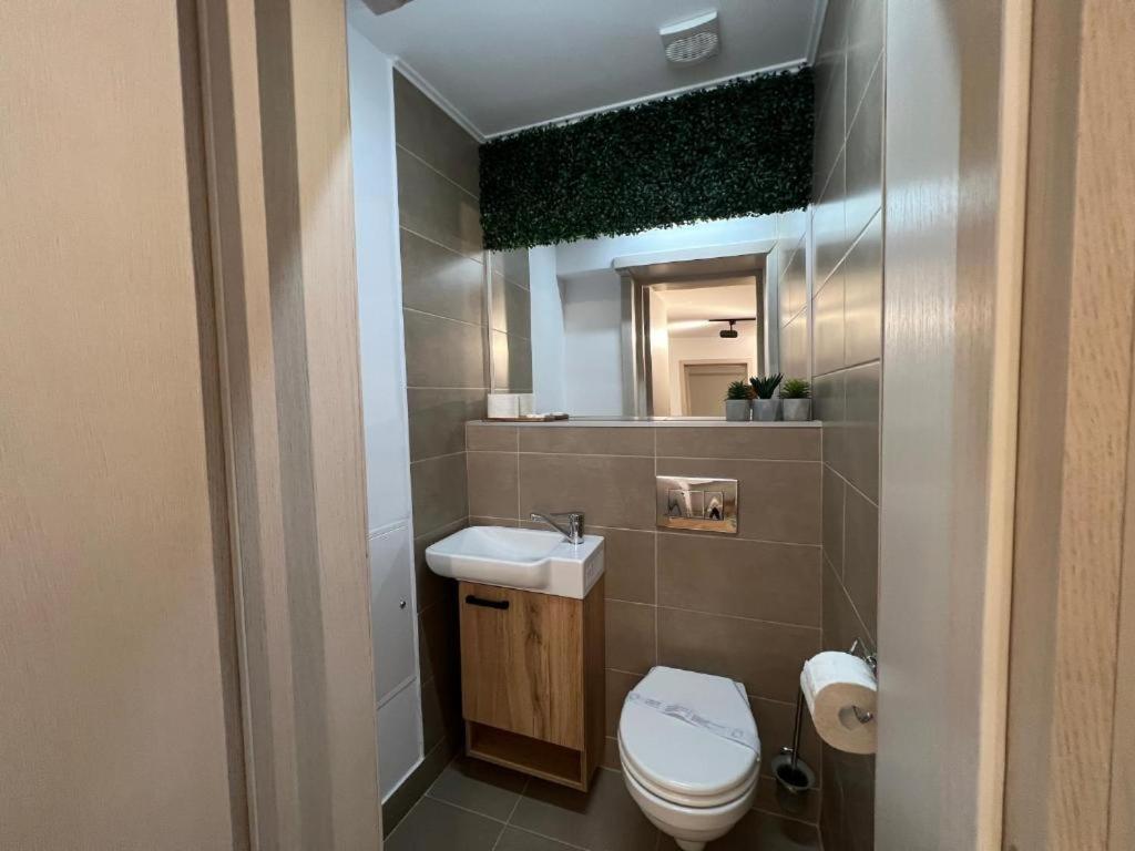 Coban Residence Apartments Braşov Eksteriør billede